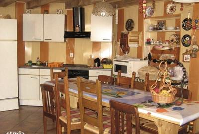 Spațiu comercial, de 125 mp, în Arieșeni - 10