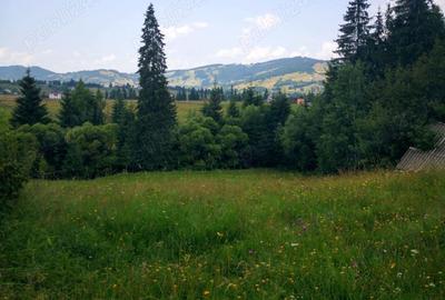 Teren de 50000 mp, în Central - 4