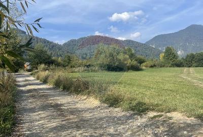 Teren de 850 mp, în Bran - 3