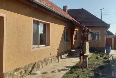 Casă cu 5 camere cu Teren 1638 Mp în Zimandcuz - 3