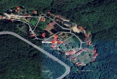 Teren în Pădurea Neagră - 3