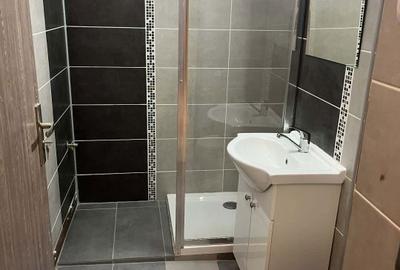 Apartament cu 2 camere semidecomandat în Calea București - 2