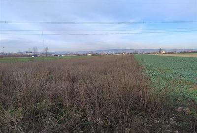 RECO Teren intravilan, Osorhei la E60 - 2