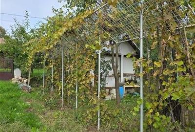Casă individuală cu 3 camere cu Teren 1100 Mp în Costuleni - 17