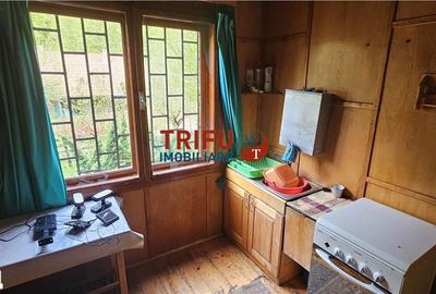 Casă cu 4 camere cu Teren 891 Mp în Ighiu - 20