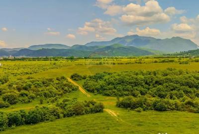 Teren de 10800 mp, în Râșnov - 1