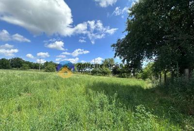 Teren intravilan de vanzare Unghi- jud. Neamt - 13