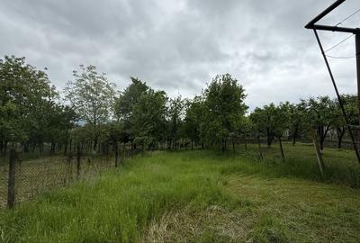 Casă cu 4 camere în Racovița - 4