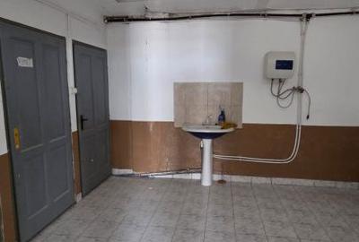 Spațiu comercial, de 1,276 mp, în Careiului - 11