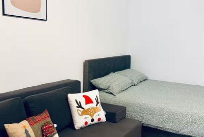 Garsonieră în Brazda lui Novac - 6