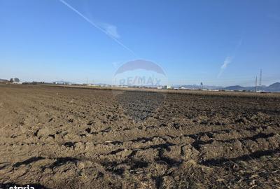 Spațiu comercial, în Stupini - 9