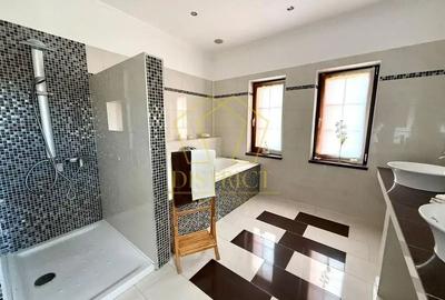Vila 6 camere deosebita D+P+1 I Biled - 9