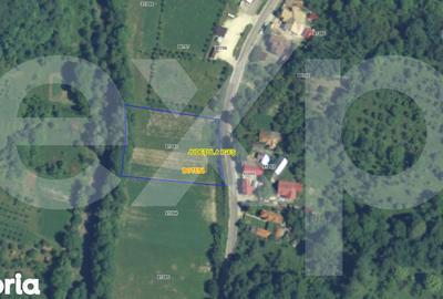 Teren de 3565 mp, în Boteni - 1