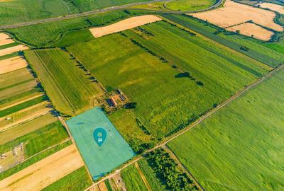 Teren de 10000 mp, în Bujac - 1