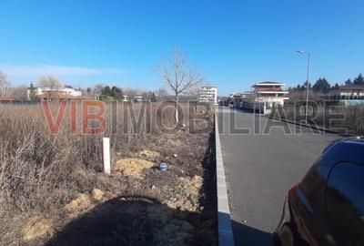 Baneasa, Drumul Muntele Gaina - Teren intravilan de vânzare - 1000 mp