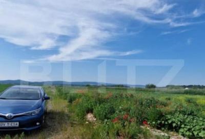 Teren extravilan, 1203 mp pretabil pentru investitie ,casa p - 2