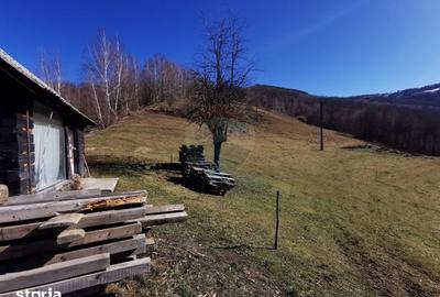 Teren de 10100 mp, în Bulz - 2