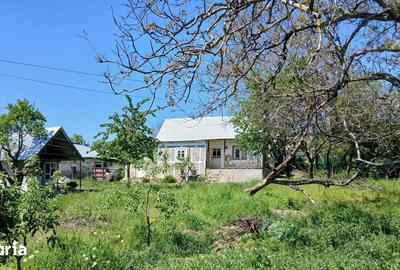 Casă cu 2 camere cu Teren 5914 Mp în Central - 4