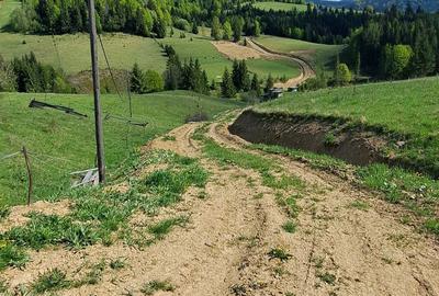 Teren de 3300 mp, în Piatra - 6