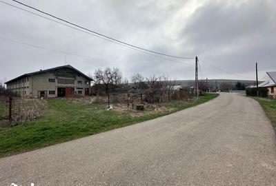 Spațiu comercial, de 2,167 mp, în Drânceni - 11