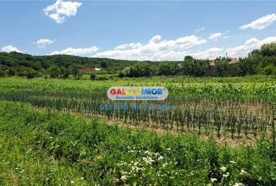 Spațiu comercial, în Bârloi - 11