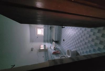 Vand casa in serbia jasa tomic - 10