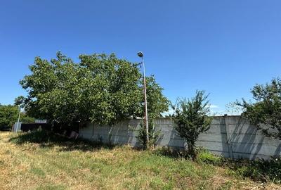 Vanzare Teren construibil 2600mp Gneasa - 6