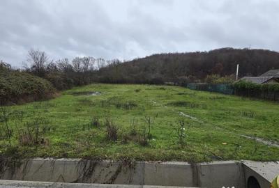 Teren de 2800 mp, în Borlești