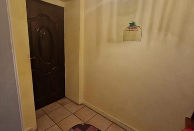 Baba Novac, Parc Ior, Mall Park Lake - 9