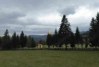 Teren de 16813 mp, în Fundu Moldovei - 1