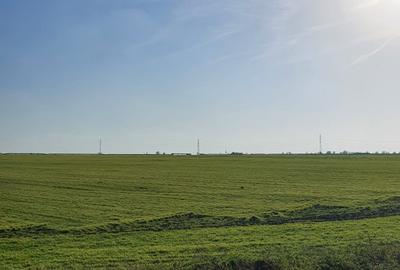 Teren intravilan ideal Parcare Tiruri Agigea Techirghiol - 5