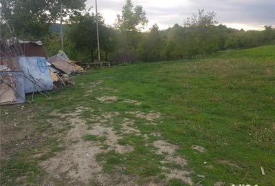 Teren de 1000 mp, în Vlădești - 6