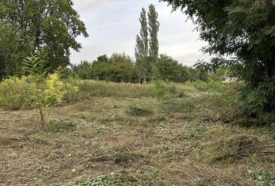 Spațiu comercial, în Munteni - 2