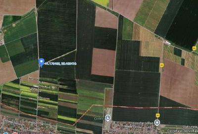 Teren de 5000 mp, în Valu lui Traian - 3