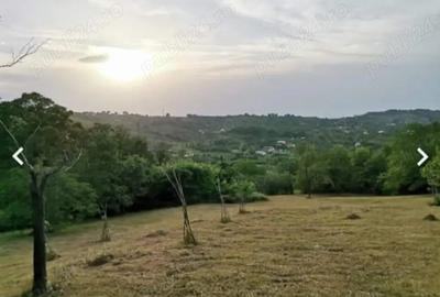 2 Casa padure + 4800 teren langa Focsani - 1