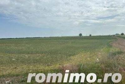 Cota 1/4 teren extravilan Gheraseni, jud. Buzau - R2070447 - 6