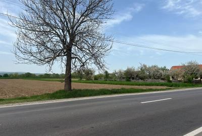 Teren intravilan, 2400 mp, Lunca Calnicului, DN11 - 2