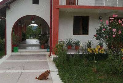 Teren de 4000 mp, în Tătărani - 5