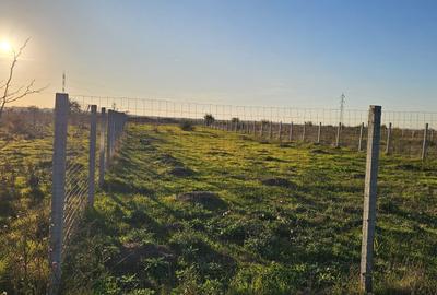 Veterani ! 1000 mp , 2 loturi - 4