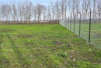 Spațiu comercial, în Grădiștea