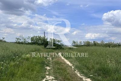 Teren de 4652 mp, în Oșorhei