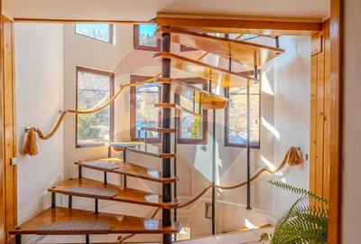 VILA SCANDINAVIA / Pensiune / Moieciu de Sus - 8