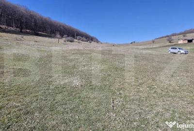 Teren de 2221 mp, în Central - 4