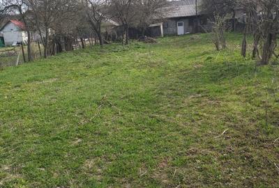 Casă cu 3 camere cu Teren 9000 Mp în Ludași - 6