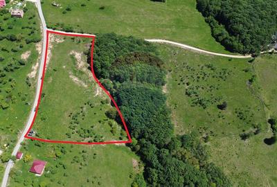 Teren agricol intravilan de 55600 mp, în Codru Butesii - 2