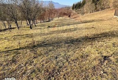 Spațiu comercial, în Breb - 4