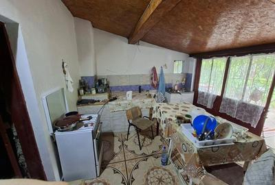 Casă cu 11 camere cu Teren 1500 Mp în Obrejița - 9