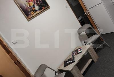 Garsoniera centrala intr-un bloc reabilitat, ideala pentru un nou inceput - 3