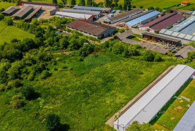 Teren de 9335 mp, în Teliu - 2