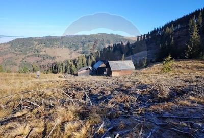 Teren extravilan de 31461 mp, în Panaci - 12